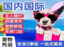 龙洞堡航空空运国际宠物托运 【国